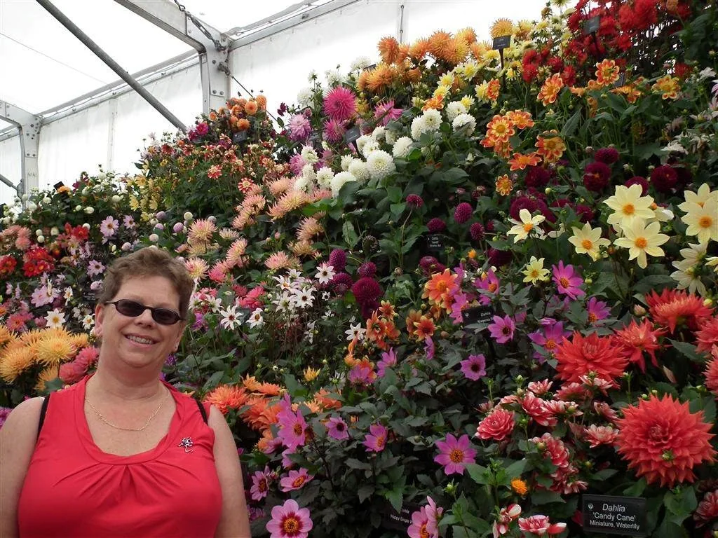 Floral marquee in the long water area 45